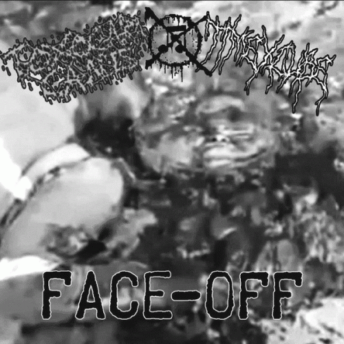 Toxocara Canis : Face-Off Toxocara Canis : Face-Off